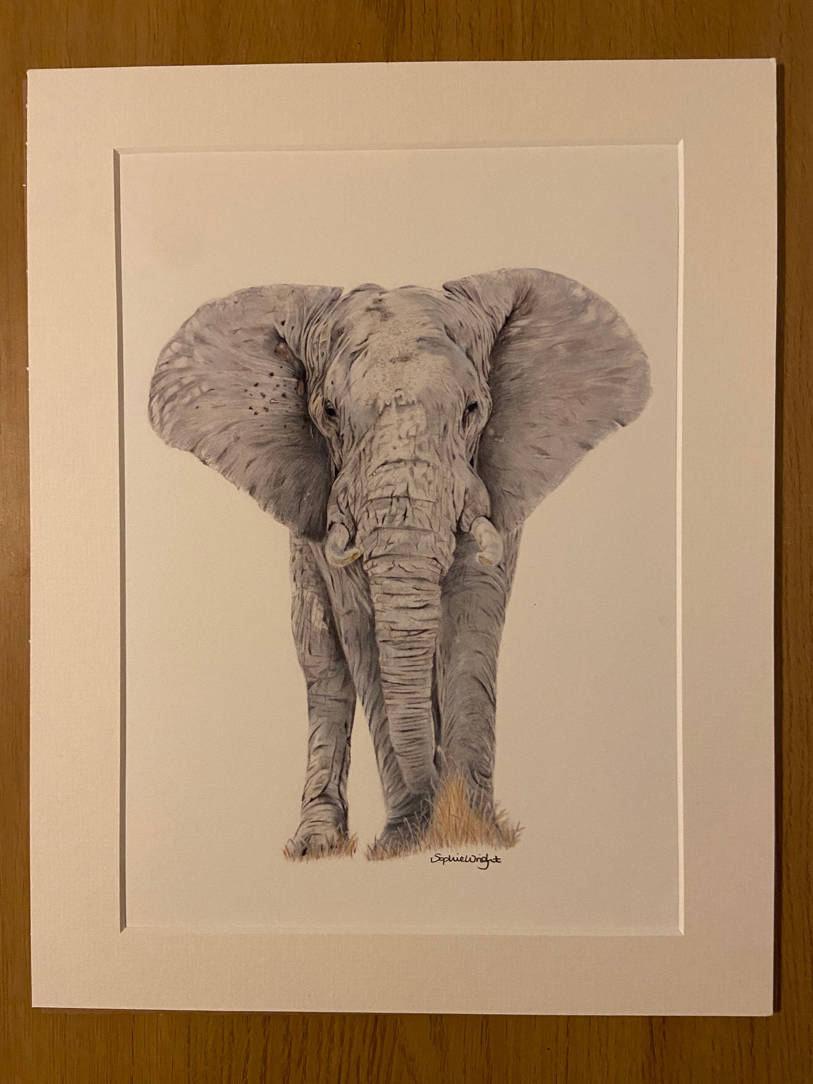 j1 elephant print