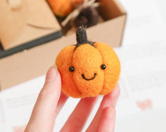 DIY Kit Woolly Pumpkin Pal Needle Felting - Beginners Craft Kit High Quality