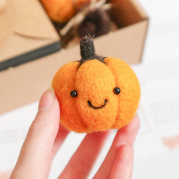 DIY Kit Woolly Pumpkin Pal Needle Felting - Beginners Craft Kit High Quality