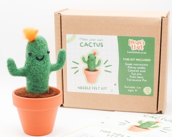DIY Kit Woolly Cactus - Needle Felting Beginners Craft Kit High Quality