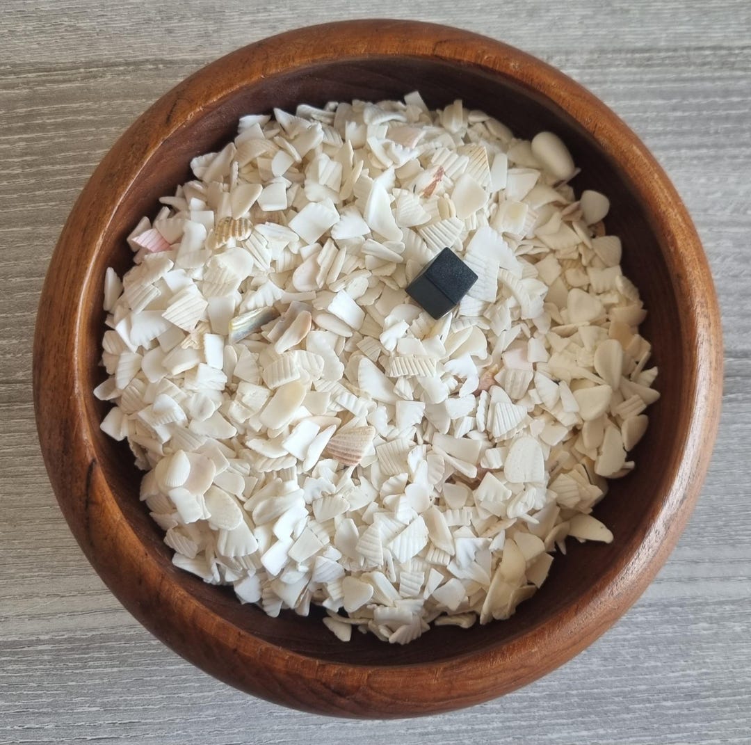 Sea Shell Undrilled Chips / Natural Sea Shells Undrilled Chips / 20 ...