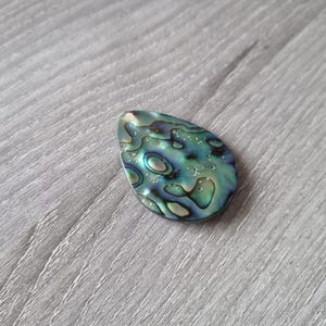 May include: A green, blue, and iridescent abalone shell with a pearlescent finish. The shell is smooth and has a natural, organic shape.