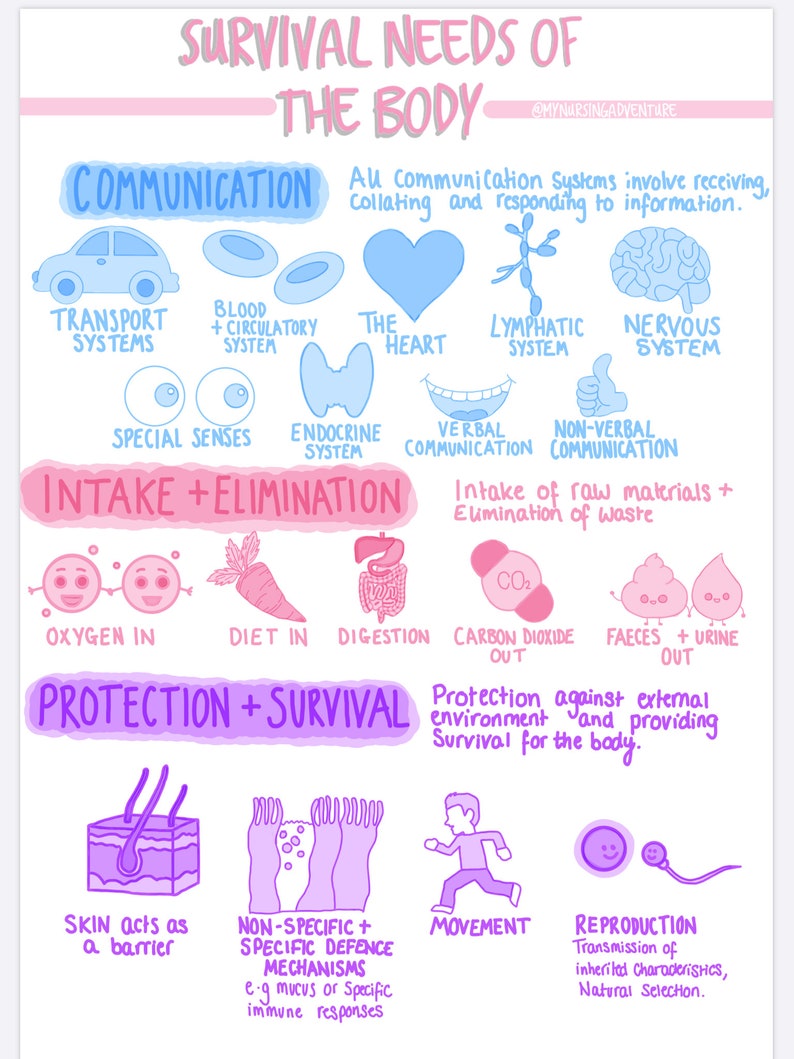 Introduction to Anatomy and Physiology Notes DIGITAL | Etsy