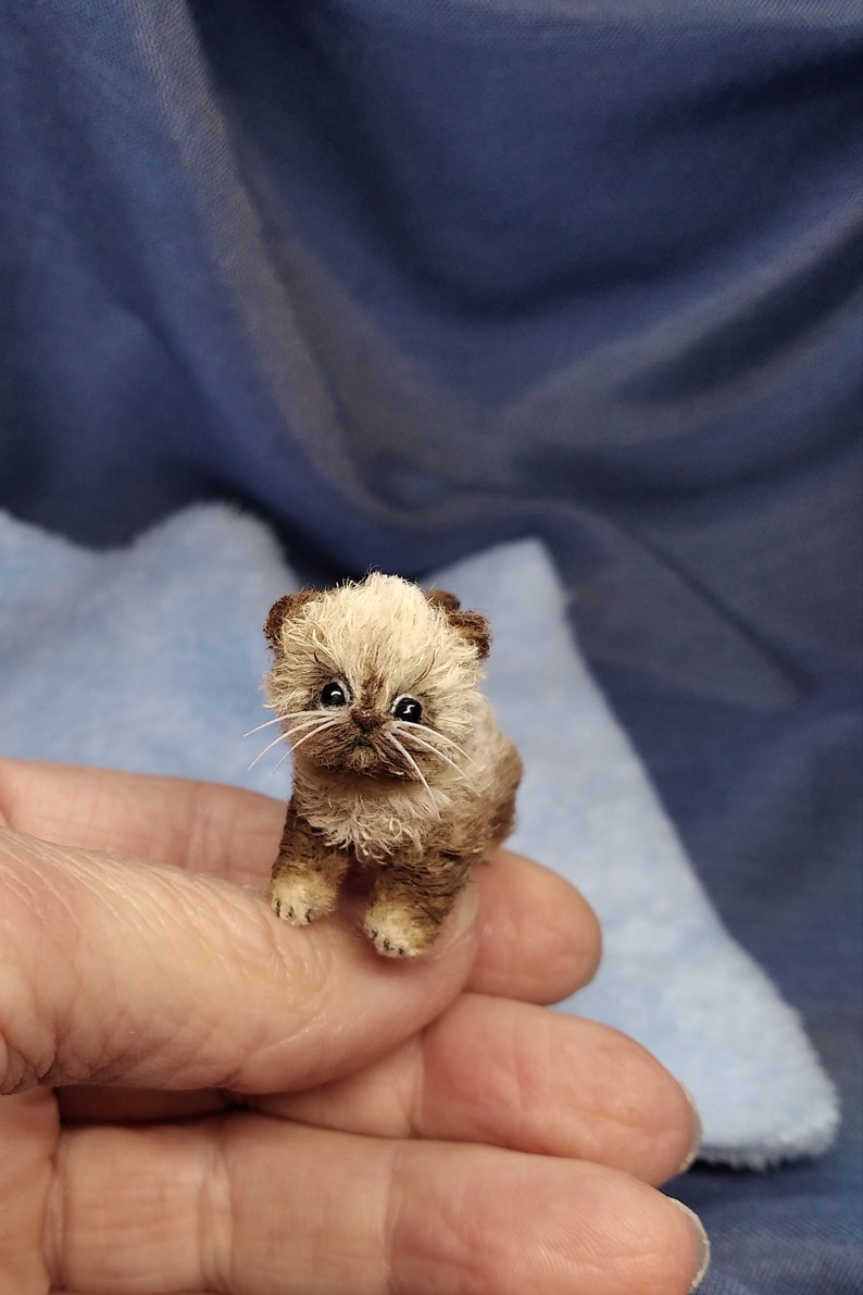 MADE TO ORDER micro kitten 2.4cm realistic little tiny toy Etsy
