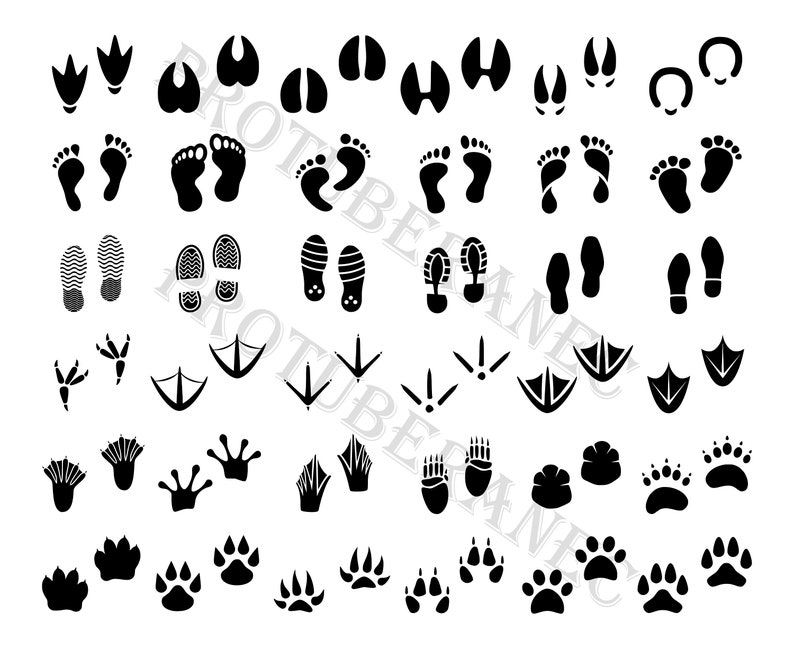 Download Animal tracks svg Footprint svg bundle Foot svg Feet svg ...