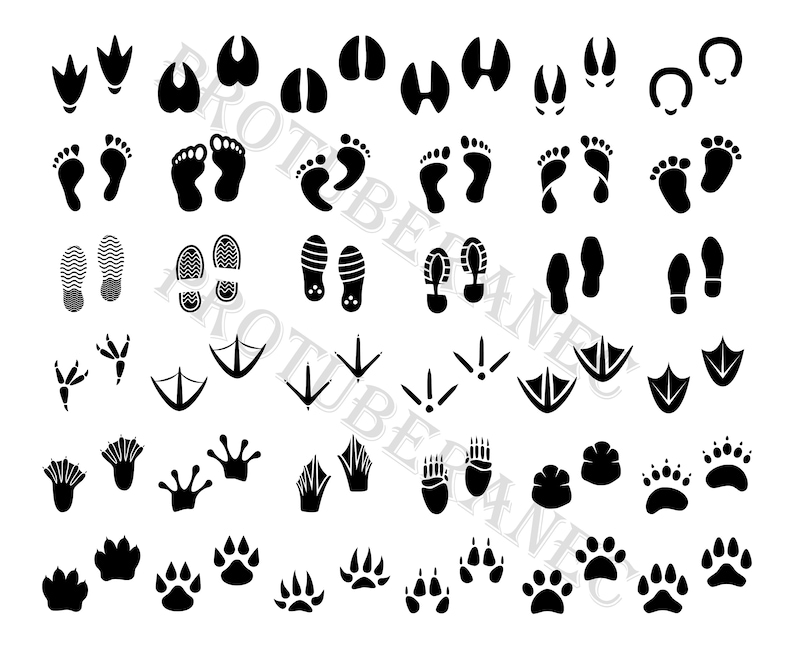 Download Animal tracks svg Footprint svg bundle Foot svg Feet svg ...