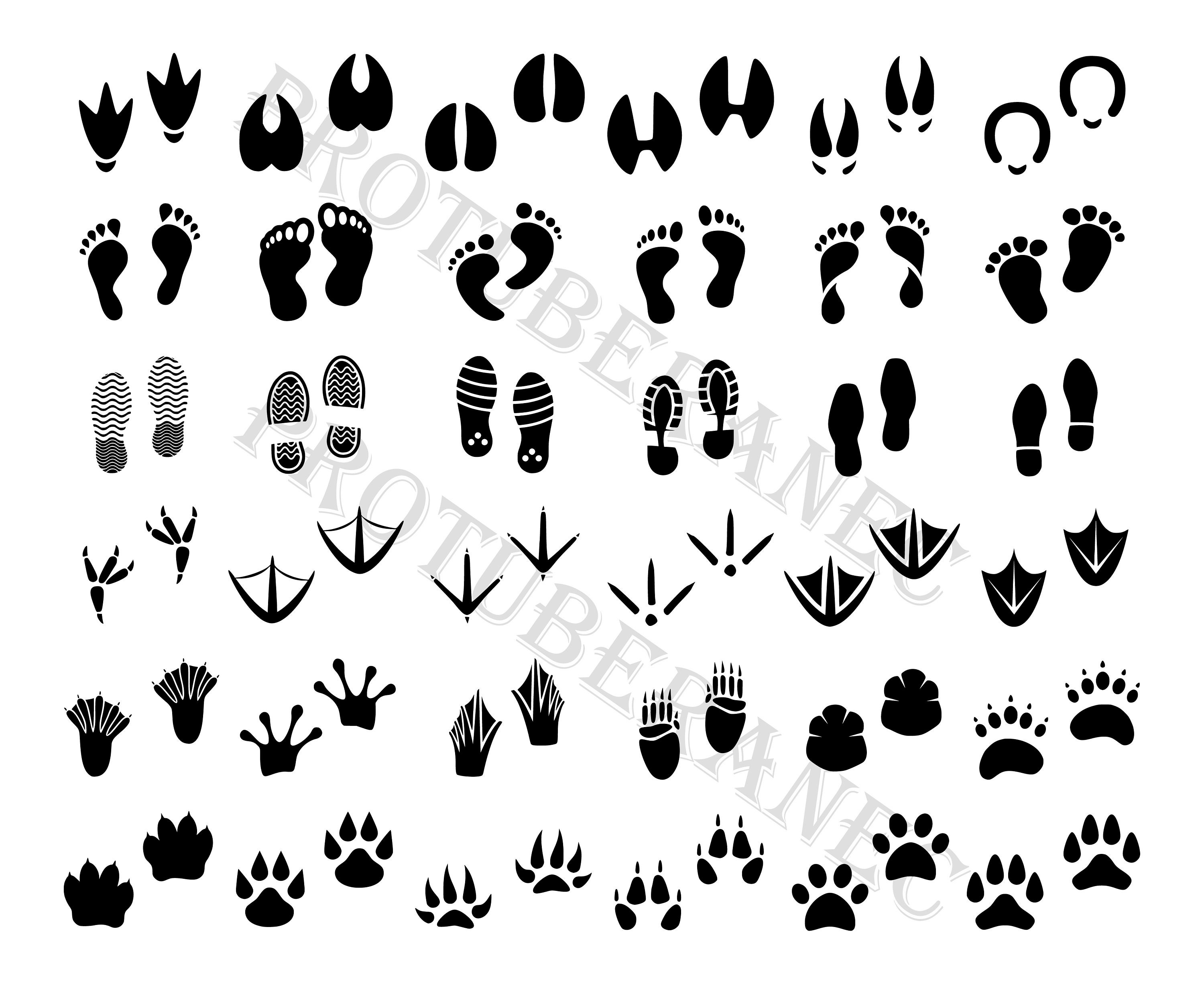 Download Animal Tracks Svg Footprint Svg Bundle Foot Svg Feet Svg Etsy