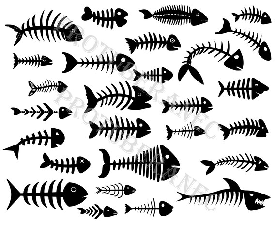 Download Fish Bone Svg Dead Fish Svg Fish Skeleton Svg Fish Skull Svg Etsy