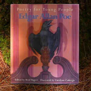 Poezja dla młodzieży Edgar Allan Poe Książka dla dzieci