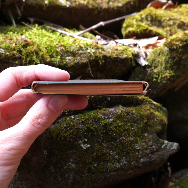 May include: A small, vintage book with a dark green cover and aged, tan-colored pages. The book is held in a hand, with a mossy, natural background. The book's spine is visible, showing the thickness of the pages.