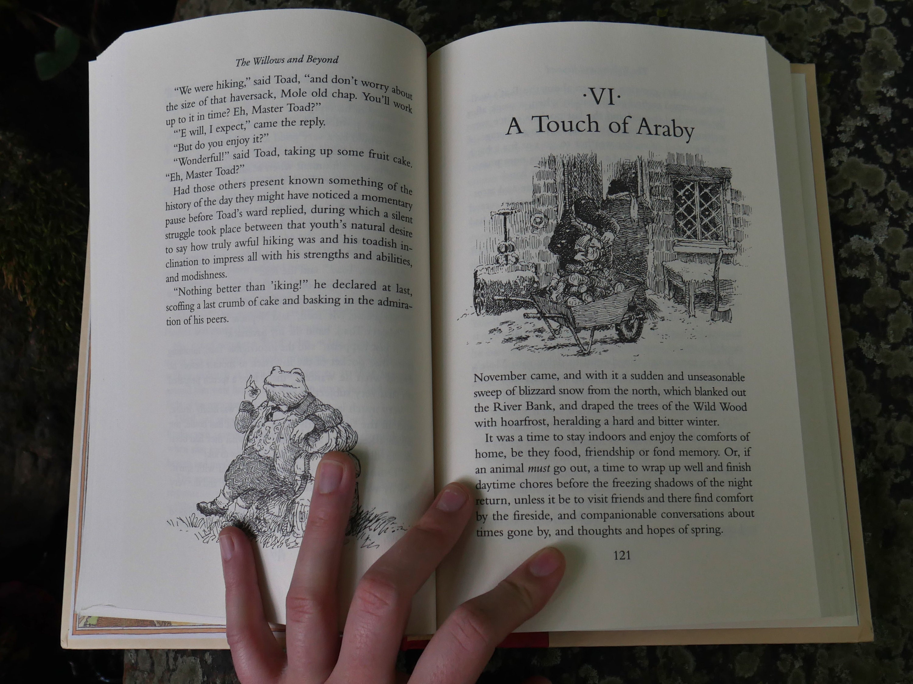 The Willows and Beyond William Horwood First Edition Book Etsy