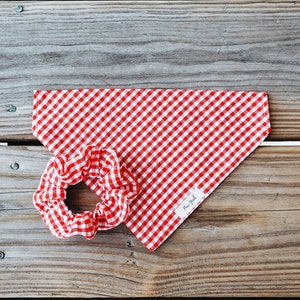 Pañuelo para mascotas de cuadros vichy Happy Harvest/Otoño: Pañuelo para perros rojo y blanco sin cordones