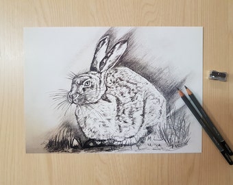 Hare Graphite Drawing Unframed Print A4 |  Hare print |  Cute art print Nursery art | Wildlife art print | Graphite art print | Animal print