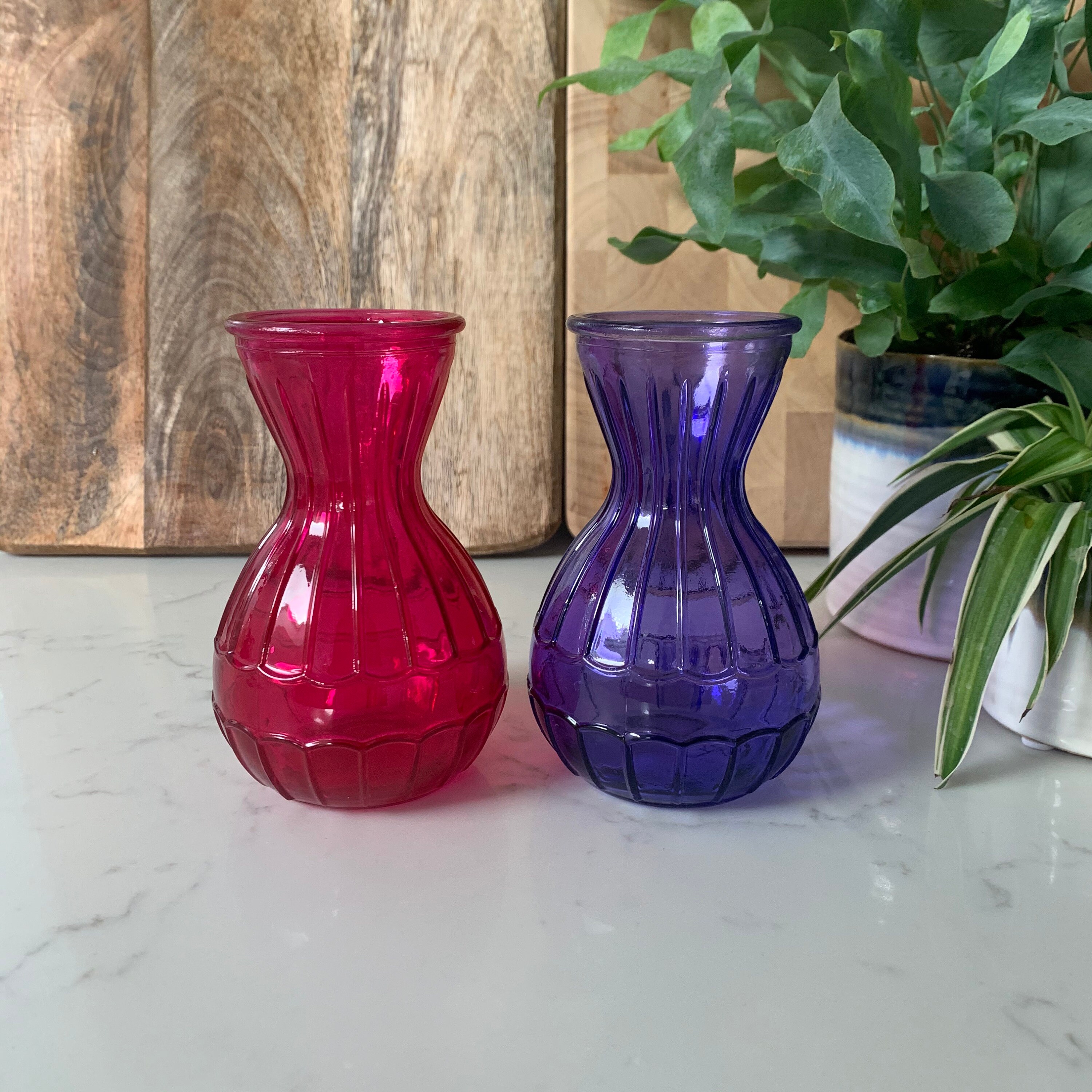 Bulb Forcing Vase Bulk at Brandy Shanklin blog