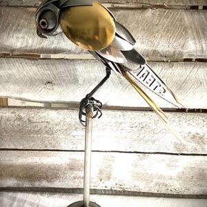 Cutlery Kestrel