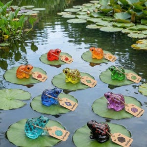 Puede incluir: Una colección de coloridas figuras de ranas de cristal, cada una posada en una hoja de nenúfar en un estanque. Las ranas son de varios colores, incluyendo rojo, naranja, amarillo, verde, azul, morado, turquesa y negro. Cada rana tiene una etiqueta con el nombre de una gema.
