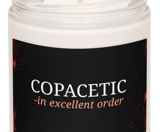 Cinnamon Vanilla Candle, Copacetic Definition, Flame Decor Jar, Witchy Rocker Gift, Relaxation Candle, Meditation Jar, Soy Candle