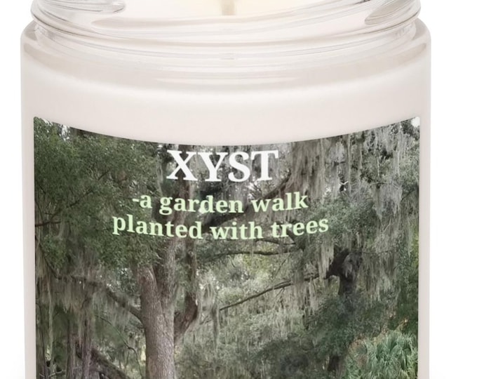 White Sage Lavender Candle, Xyst Definition, Spanish Moss Oak Trees, Nature Lover Gift, Green Witch Decor, Relaxation Candle, Reusable Jar