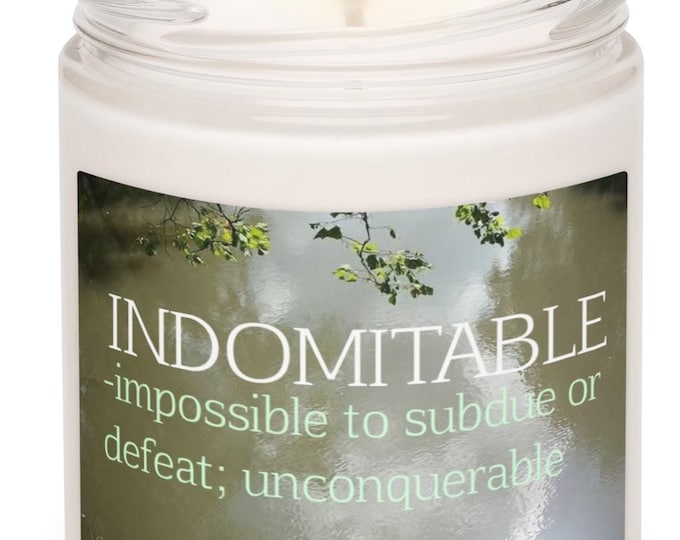 Coconut Cream Cardamom Candle, Indomitable Definition, Haunted Bridge Decor, Witchy Gift, Nature Vibes, Reusable Jar, Unique Candle