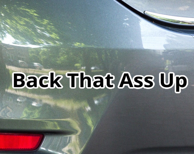 Vinyl Bumper Sticker, Vinyl Car Sticker, Attitude Sticker, Funny Gift, Music Lyrics Bumper Sticker, Music Lyrics Car Sticker, Gen-X Gift
