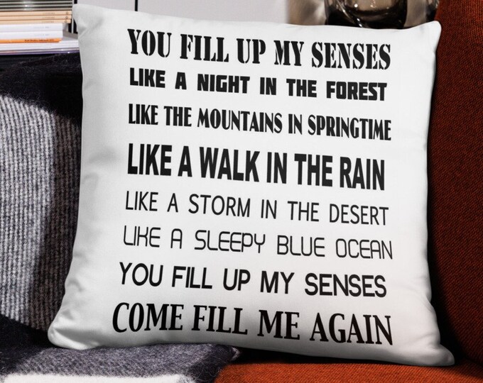 18x18 Throw Pillow, Annie's Song Music Lyrics Throw Pillow, 70s Music Pillow, Anniversary Gift, Wedding Gift, 70s Rock Music Home Decor