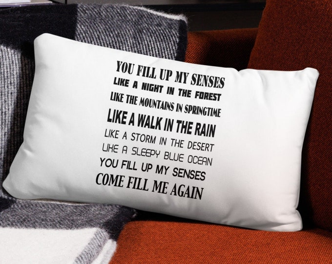 20x12 Throw Pillow, Annie's Song Music Lyrics Throw Pillow, 70s Music Pillow, Anniversary Gift, Wedding Gift, 70s Rock Music Home Decor
