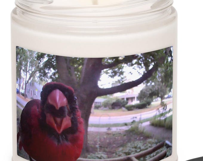 Cheeky Cardinal Scented Soy Candle in 5 Scent Choices, Meditation Candle, Manifestation Candle, Self Care Gift, Reusable Jar Candle