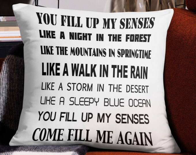 22x22 Throw Pillow, Annie's Song Music Lyrics Throw Pillow, 70s Music Pillow, Anniversary Gift, Wedding Gift, 70s Rock Music Home Decor