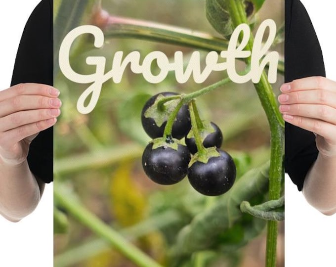 11x14 Canvas Original Photo Print - "Growth" on Backyard Berries