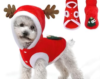 dog santa suit