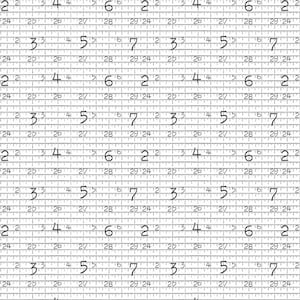 Yardage Fabric: Hush Hush 2 Ruler Print by Riley Blake