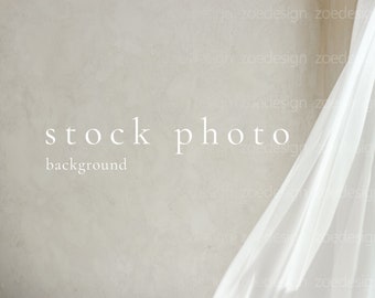 Stock photo background Minimal stock photography Boho photo image Neutral stock photo Modern photo for your poster or frame Aesthetic photo