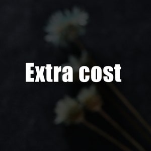 May include: The text "Extra cost" is displayed in white against a dark background. The background is blurred and features several white, dried flowers.