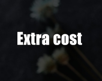 Extra cost