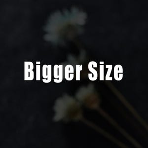 May include: A dark, blurred background with the white text "Bigger Size" in the center. Faint, out-of-focus white flowers are visible in the background, adding a subtle contrast to the bold text.