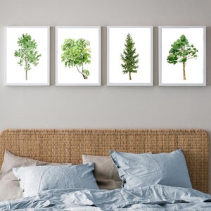 Set 4 Trees Watercolour Poster, Set 4 Botanical Print, Forest Wall Decor, Trees Print, Trees illustration, Pine Tree Wall Art, Trees Types