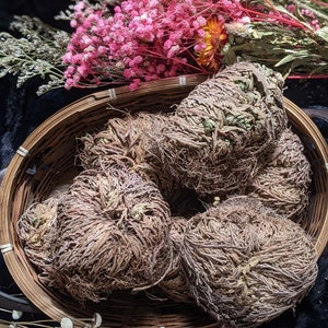 JERICHO FLOWER RESURRECTION Plant, rose of Jericho,