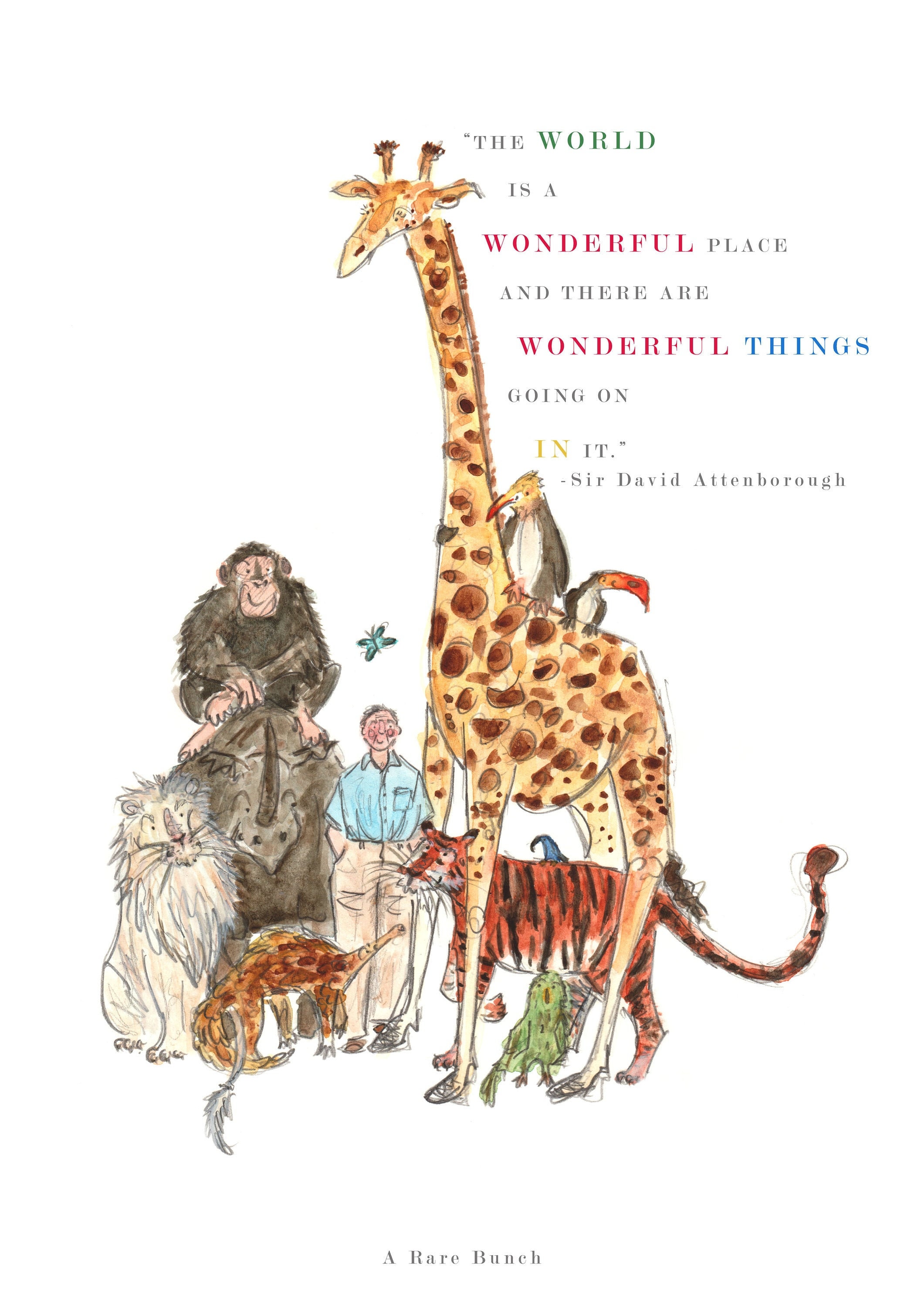 David Attenborough A Rare Bunch Print Etsy