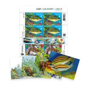 définir EUROPA. Ensemble de draps sur la faune et la flore sous-marines de l'Ukraine avec enveloppe pour carte postale UKRAINE 2024, souvenir de l'Ukraine