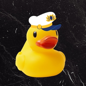 Set of Magical Duck Magnets | Cruise Door Decorations | Perfect for Magical Voyages