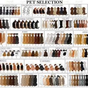 May include: A chart with illustrations of different dog breeds, including a bearded collie, border collie, dalmatian, Yorkshire terrier, dachshund, long-haired dachshund, Scottish terrier, labrador retriever, German shepherd, chihuahua, long-haired chihuahua, cavalier King Charles spaniel, samoyed, golden retriever, boxer, great dane, American staffordshire terrier, English bulldog type 1, English bulldog type 2, French bulldog, pug, beagle, St. Bernard, poodle, Akita, basenji, Chesapeake Bay retriever, cane corso, whippet, greyhound, and Afghan hound.