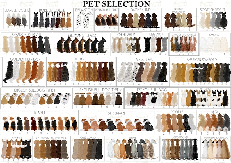 May include: A chart with illustrations of different dog breeds, including a bearded collie, border collie, dalmatian, Yorkshire terrier, dachshund, long-haired dachshund, Scottish terrier, labrador retriever, German shepherd, chihuahua, long-haired chihuahua, cavalier King Charles spaniel, samoyed, golden retriever, boxer, great dane, American staffordshire terrier, English bulldog type 1, English bulldog type 2, French bulldog, pug, beagle, St. Bernard, poodle, Akita, basenji, Chesapeake Bay retriever, cane corso, whippet, greyhound, and Afghan hound.