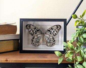 Paper kite butterfly in shadow box frame 5x7"