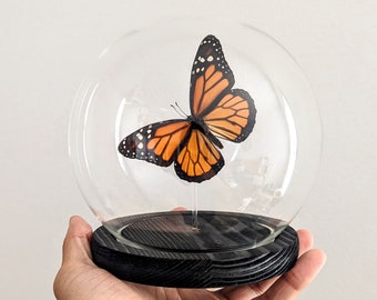 Monarch butterfly in glass globe