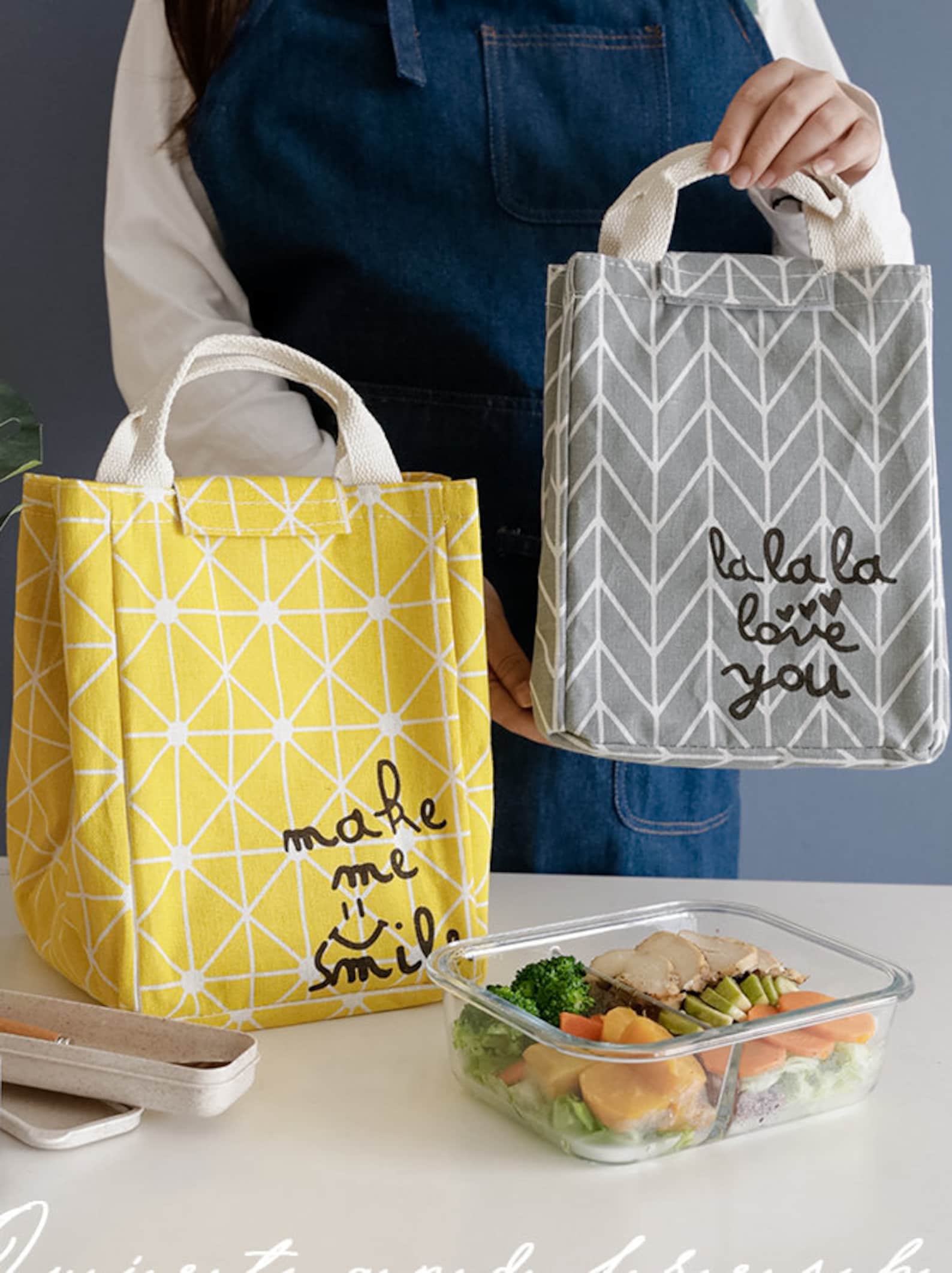 Colorful Insulated Lunch Bag Lunch Tote Eco Friendly Etsy