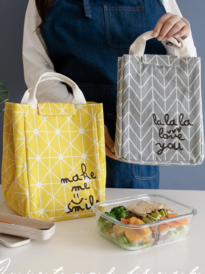 Colorful Insulated Lunch Bag Lunch Tote Eco Friendly Etsy