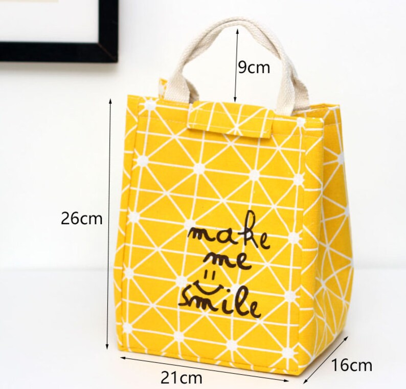 Colorful Insulated Lunch Bag Lunch Tote Eco Friendly - Etsy