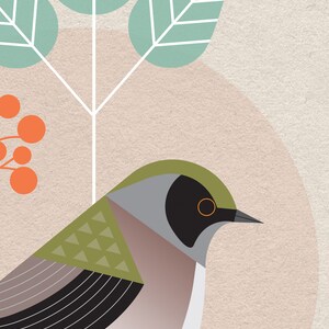 May include: A stylized illustration of a bird with a green head, black eye, and gray and pink body. The bird is perched on a branch with green leaves and orange berries.