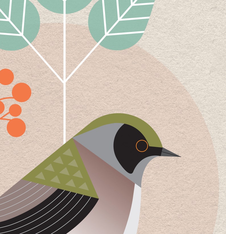 May include: A stylized illustration of a bird with a green head, black eye, and gray and pink body. The bird is perched on a branch with green leaves and orange berries.