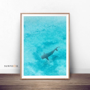Whale Shark Print Aerial Whale Shark Whale Shark Art Whale Shark Lover Watercolor Shark Whale Shark Ocean Whale Shark Poster Aqua Sea Print